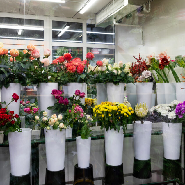 Fresh cut flowers