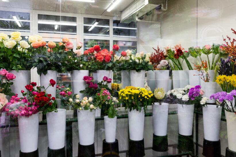 Fresh cut flowers