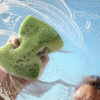Window cleaner using a sponge to wash a window