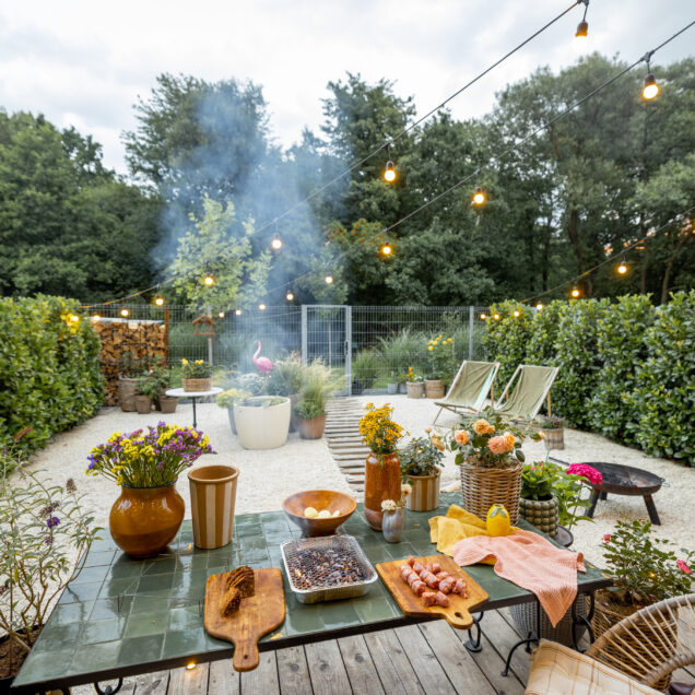 Beautiful backyard
