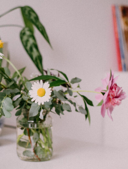 Indoor flowers