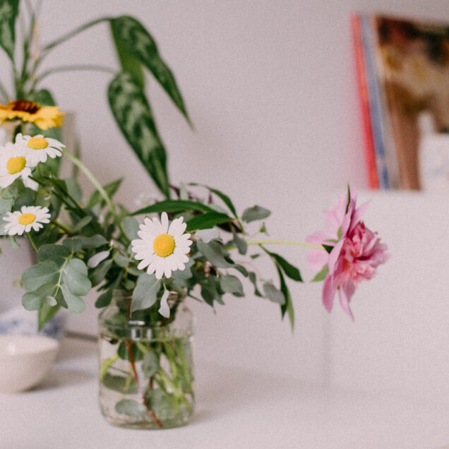 Indoor flowers