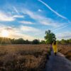 Peaceful walk