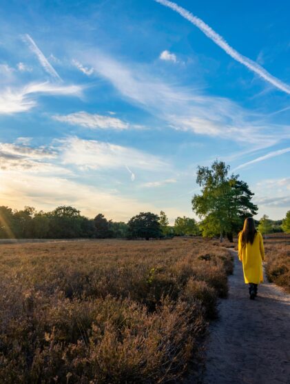 Peaceful walk