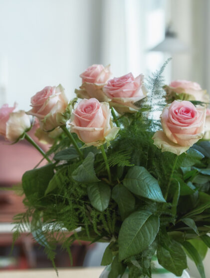 Beautiful roses