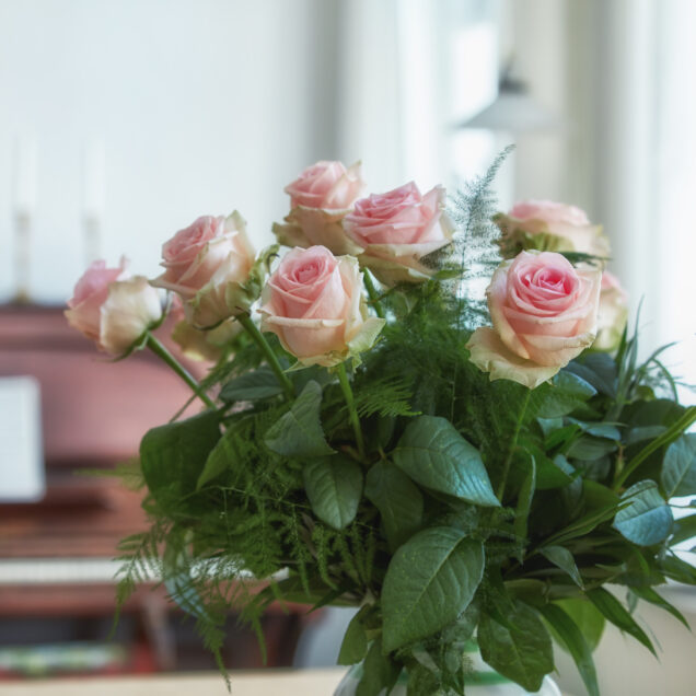 Beautiful roses