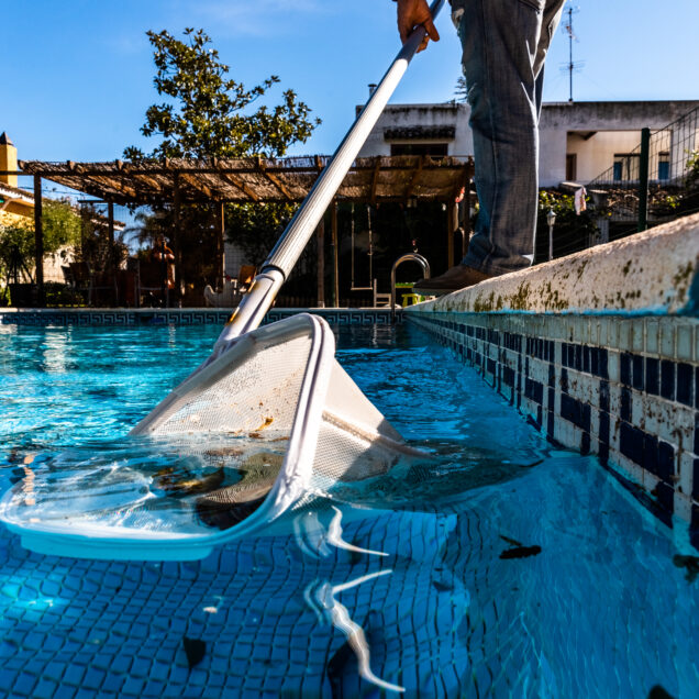 Professional Pool Cleaning Service