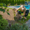 Backyard renovation