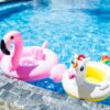 A unicorn pool float and a flamingo pool float sit in a pool