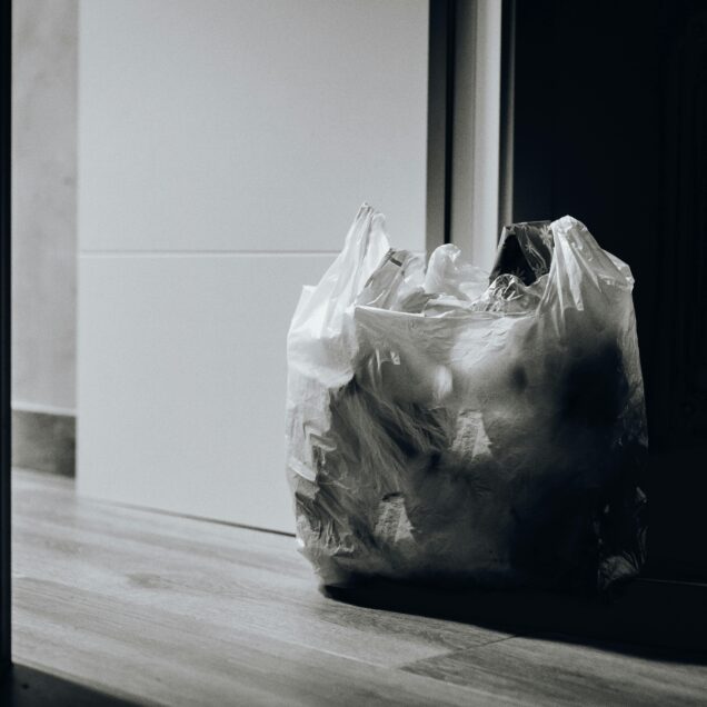 Waste Management Service Near Me