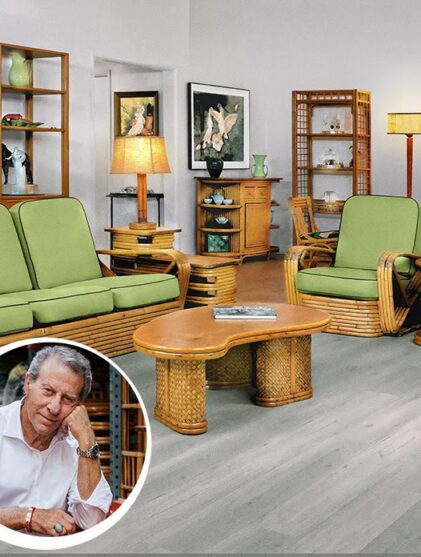 Rattan Reimagined - The Art of Harvey G. Schwartz