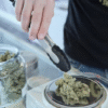 The Growing Role of Loyalty Programs in Cannabis Retail