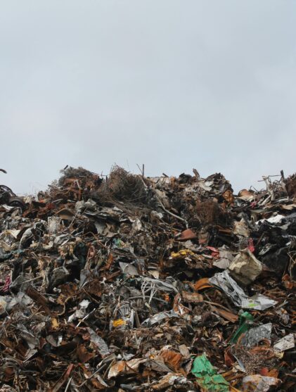 waste management services