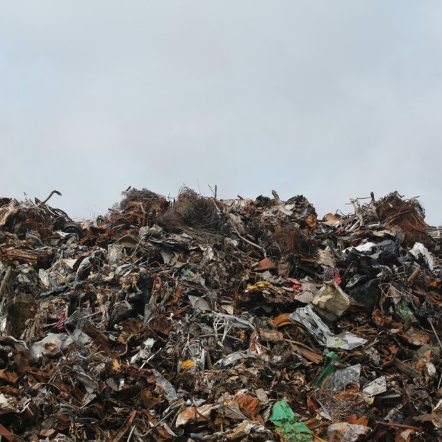 waste management services