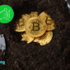 plan mining work