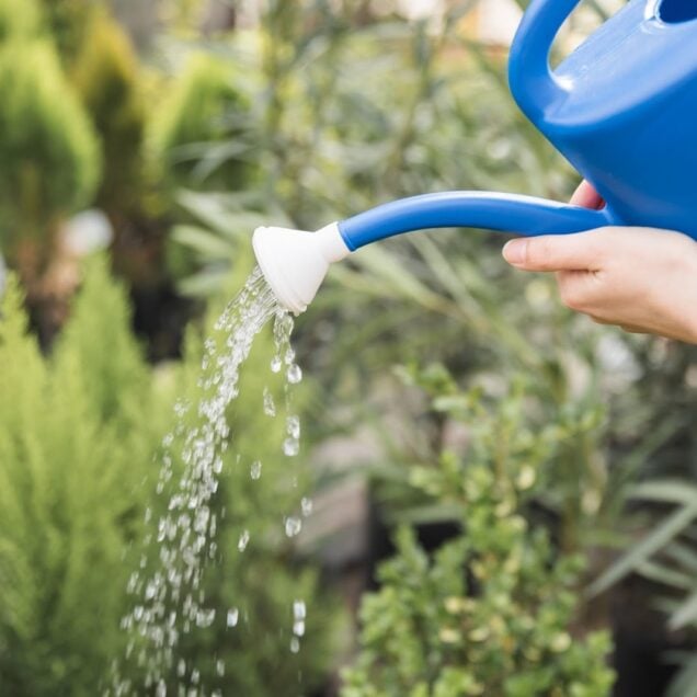 Professional Sprinkler Installation Brings Water Use Planning to Kansas City, KS