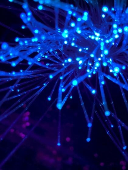 The End of Software as We Knew It