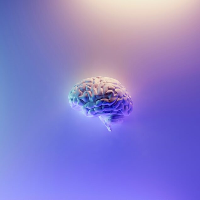 digital rendering of a brain