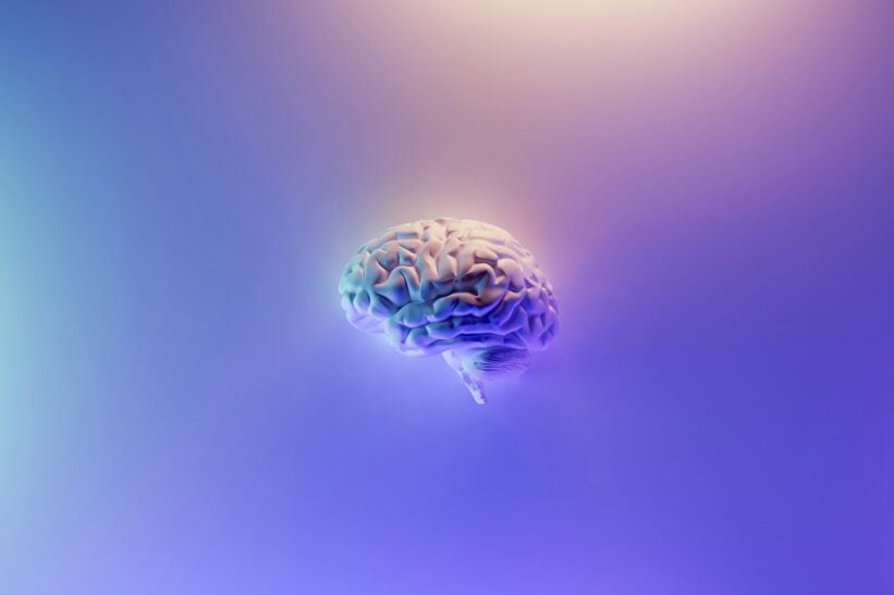 digital rendering of a brain