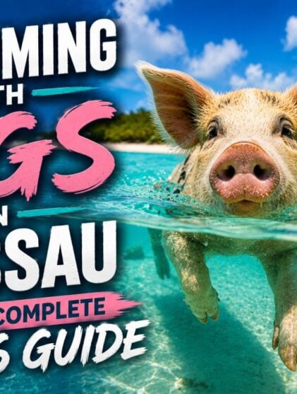 Swimming with Pigs in Nassau: The Complete 2026 Guide